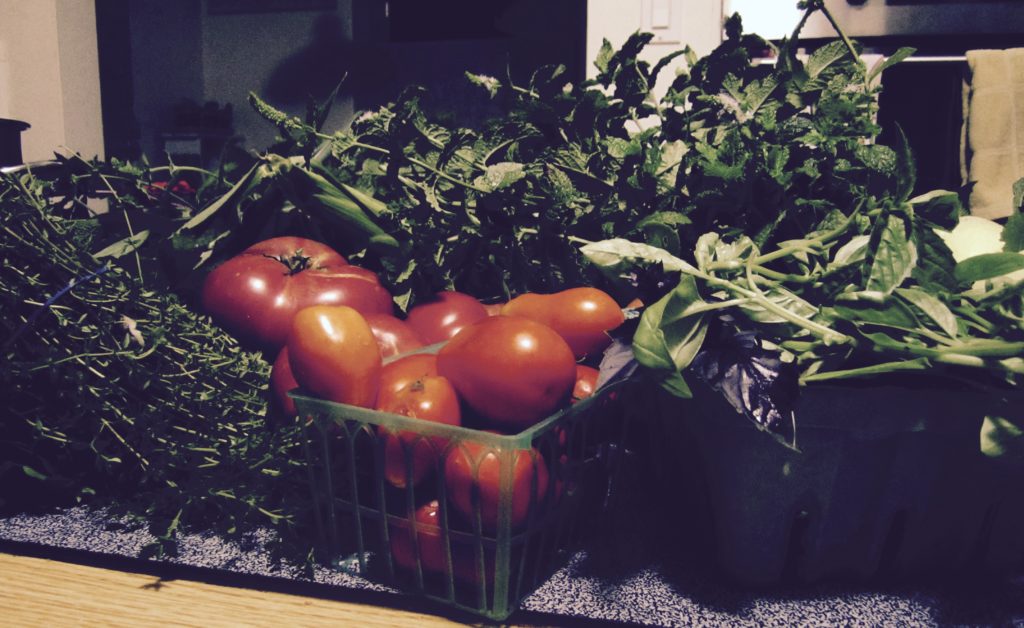 Tomatos, herbs and greens from a garden