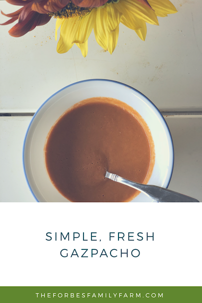 Read more about the article Fresh, Simple Gazpacho