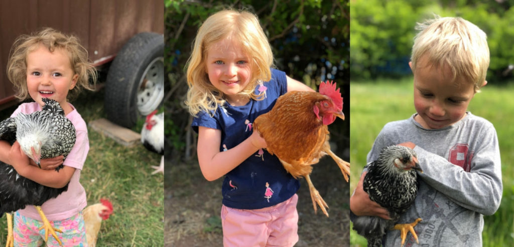 Kids holding chickens