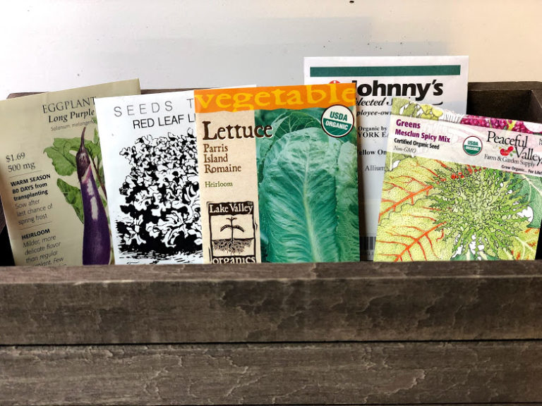 Five Tips For Seed Starting Success The Forbes Family Farm