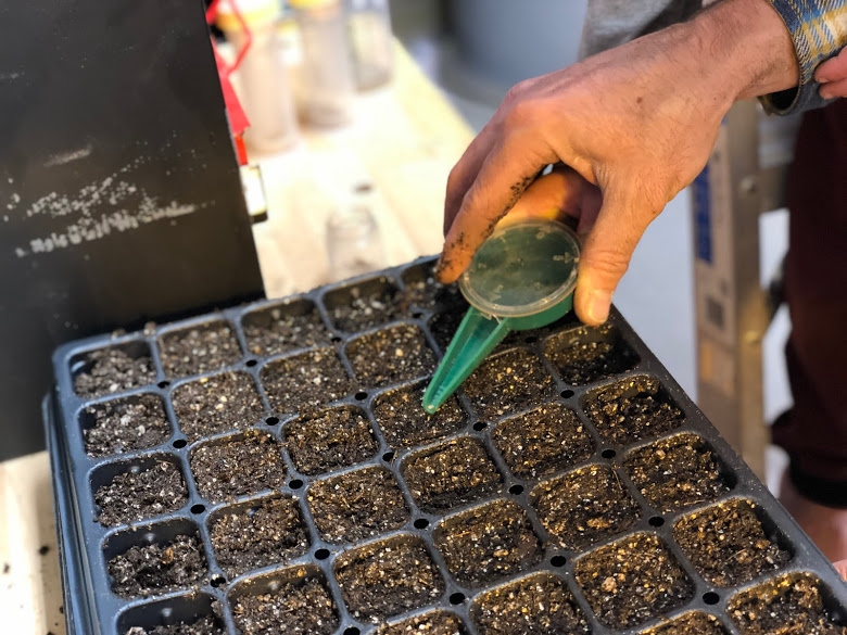 Hand Seeding