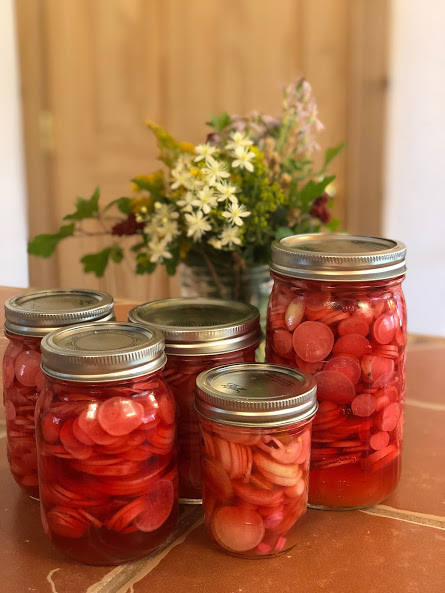 pickled radish in jars