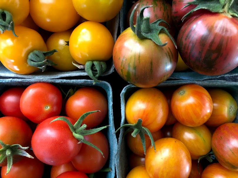 Read more about the article Tomato: From seed to plate